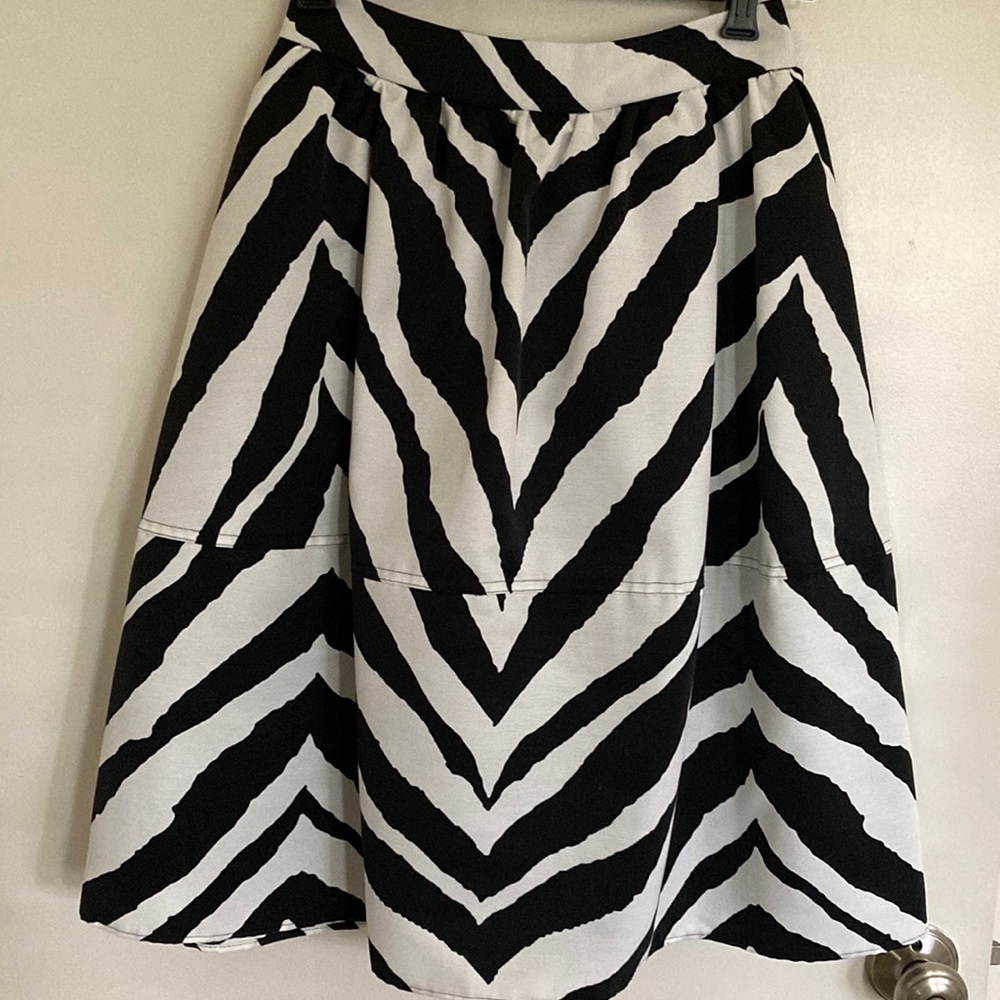 NWT EXPRESS SKIRT